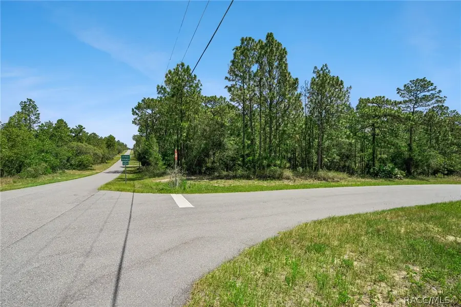 4181 W Malaluka Circle, Citrus Springs, FL 34433 - #3