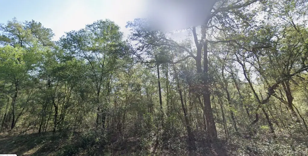 9333 N Kirkland Terrace, Dunnellon, FL 34434 - #1