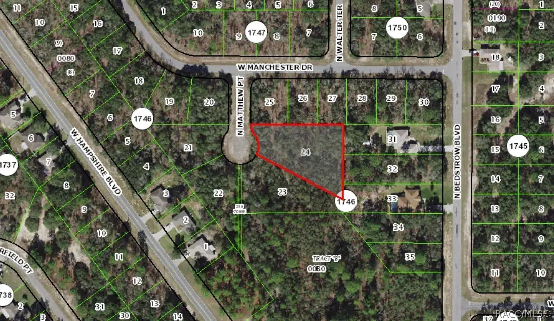 6039 N Matthew Point, Citrus Springs, FL 34434 - #1