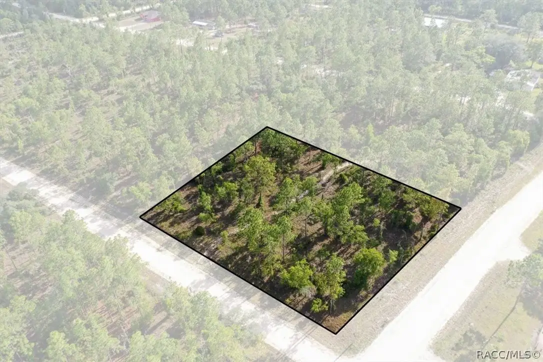 0000 NE 132nd Lot 2 Terrace, Williston, FL 32696 - #1