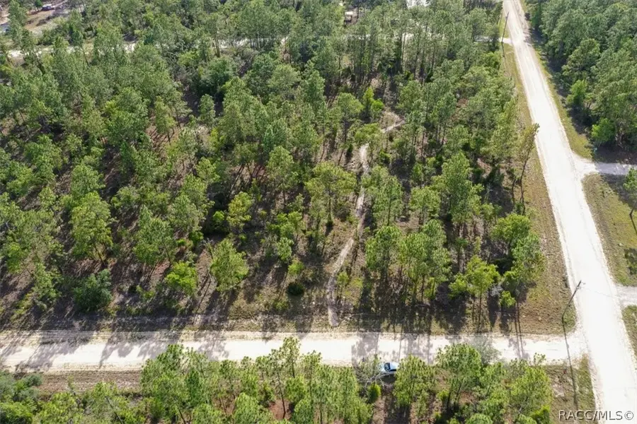 0000 NE 132nd Lot 2 Terrace, Williston, FL 32696 - #2