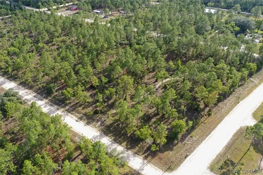 0000 NE 132nd Lot 2 Terrace, Williston, FL 32696 - #3