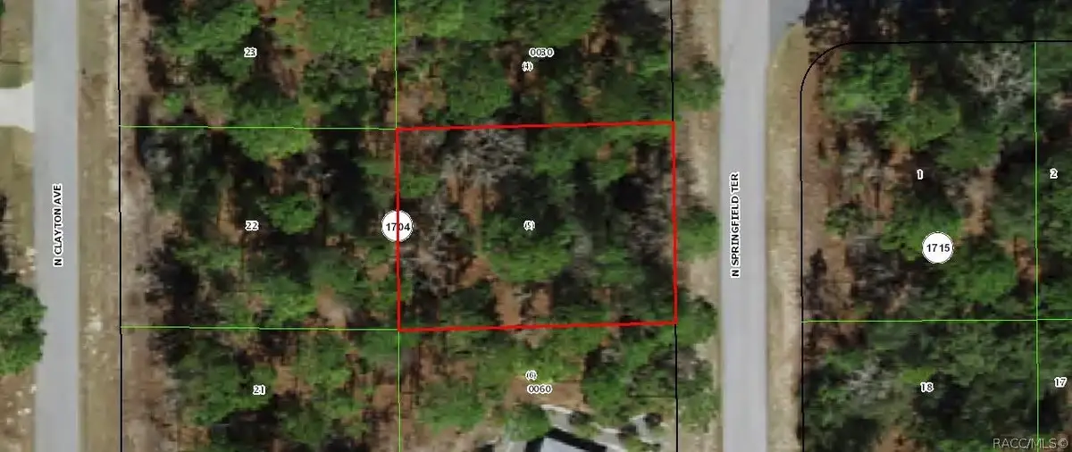 6536 N Springfield Terrace, Dunnellon, FL 34434 - #1