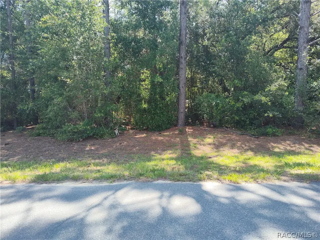 8646 N Buscetta Loop, Crystal River, FL 34428 - #1
