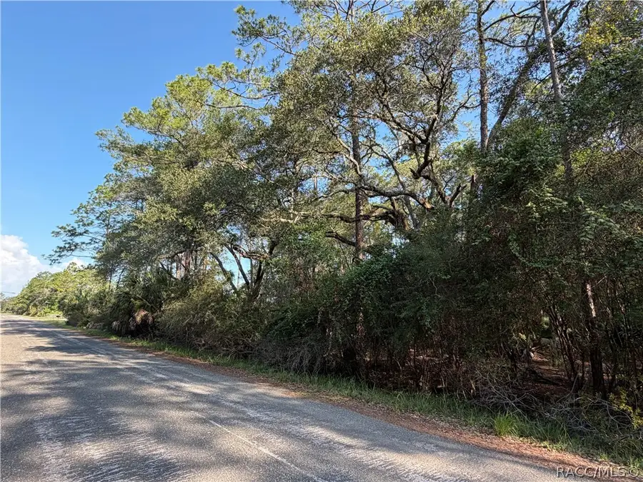 11023 W Acacia Drive, Crystal River, FL 34428 - #2