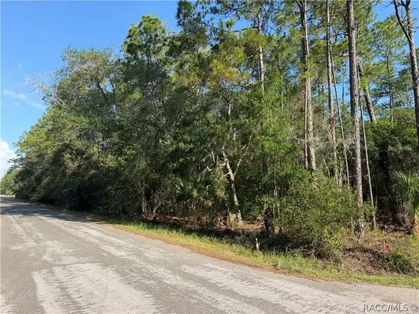10981 W Acacia Drive, Crystal River, FL 34428