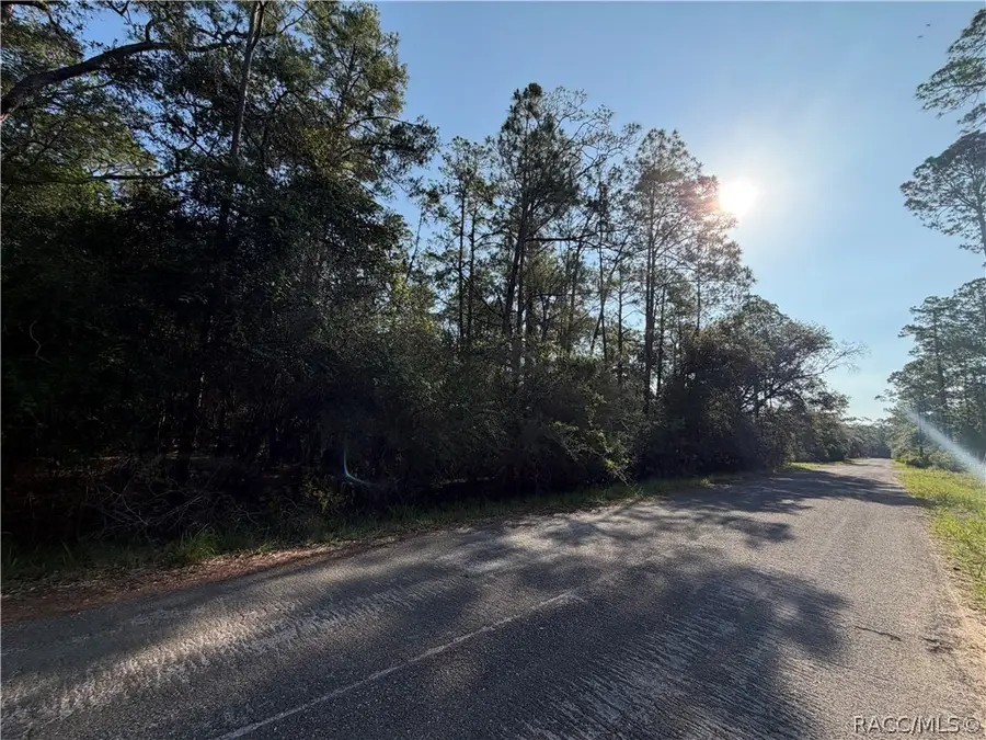 10981 W Acacia Drive, Crystal River, FL 34428 - #2