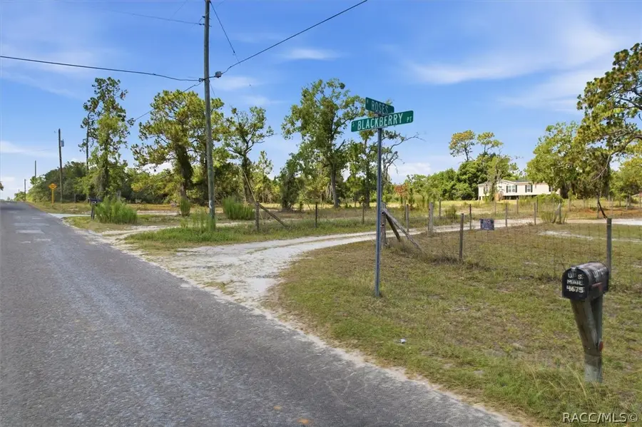 4675 W Roses Court, Homosassa, FL 34446 - #2