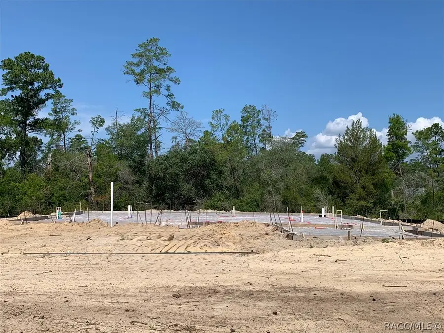 8178 N Feather Avenue, Dunnellon, FL 34433 - #3