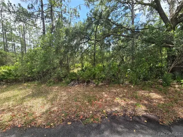 28 Mangrove Court S, Homosassa, FL 34446
