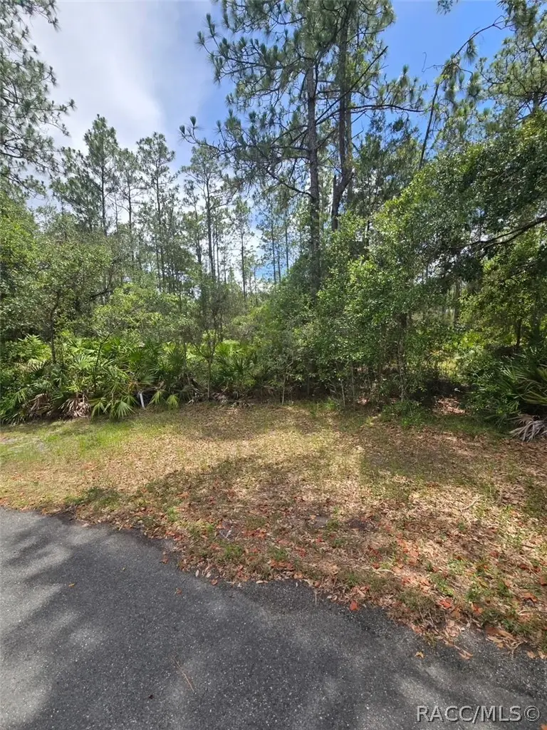 28 Mangrove Court S, Homosassa, FL 34446 - #2