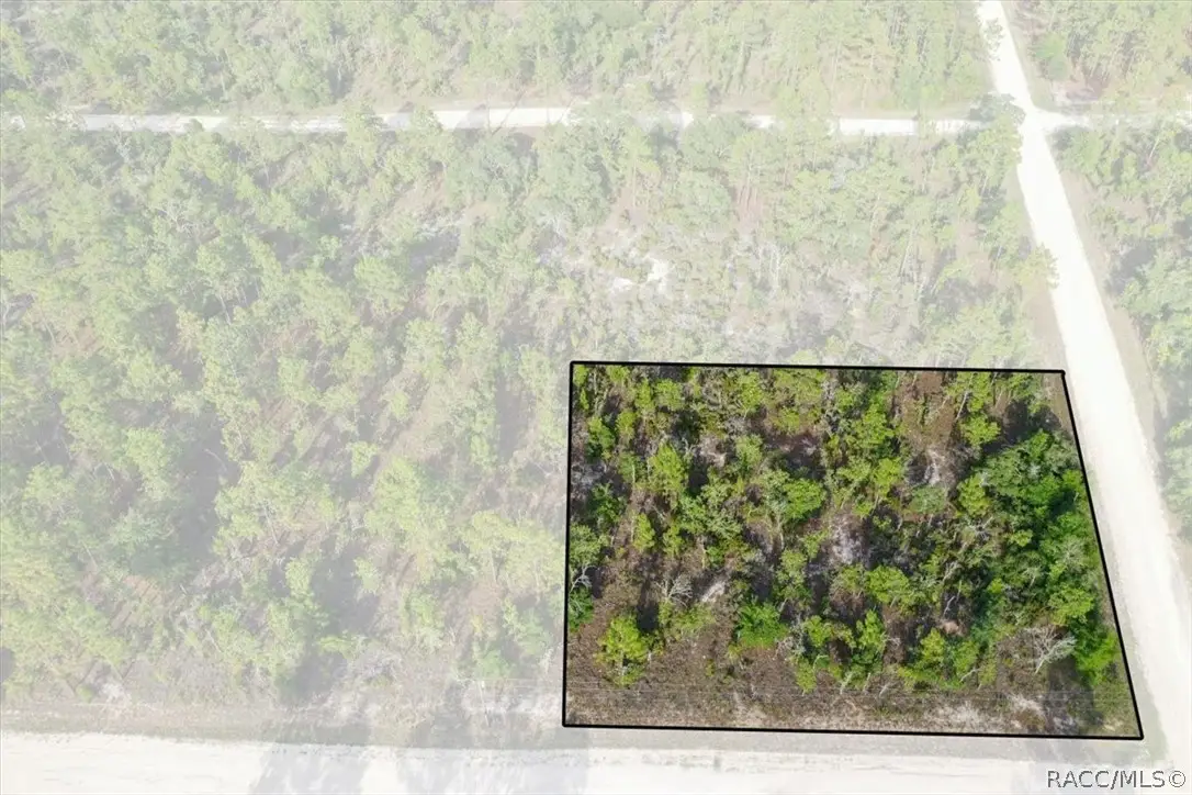 0000 NE 131st Lot 6 Terrace, Williston, FL 32696 - #1