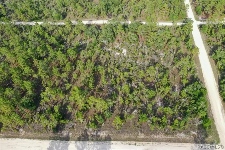 0000 NE 131st Lot 6 Terrace, Williston, FL 32696 - #2