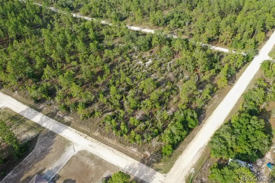 0000 NE 131st Lot 6 Terrace, Williston, FL 32696 - #3