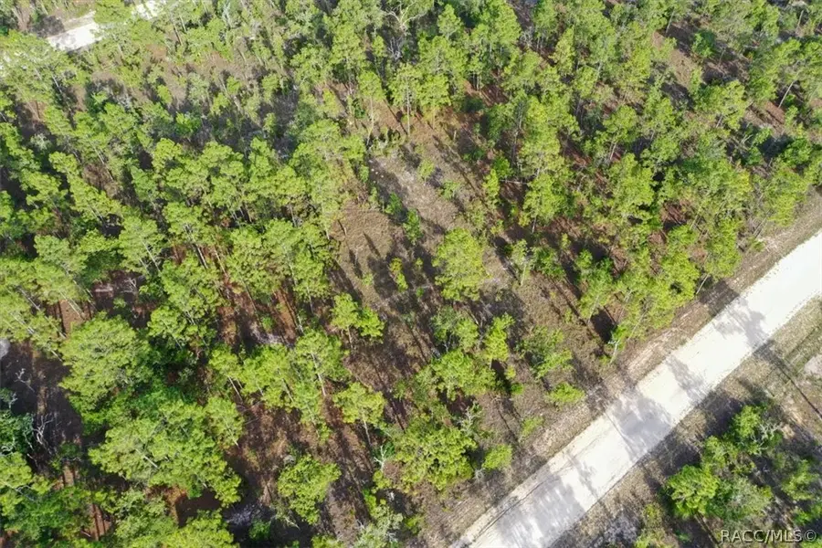 0000 NE 131st Lot 7 Terrace, Williston, FL 32696 - #2