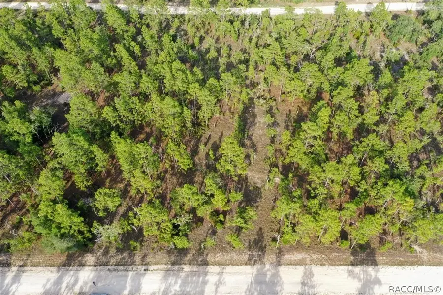 0000 NE 131st Lot 7 Terrace, Williston, FL 32696 - #3