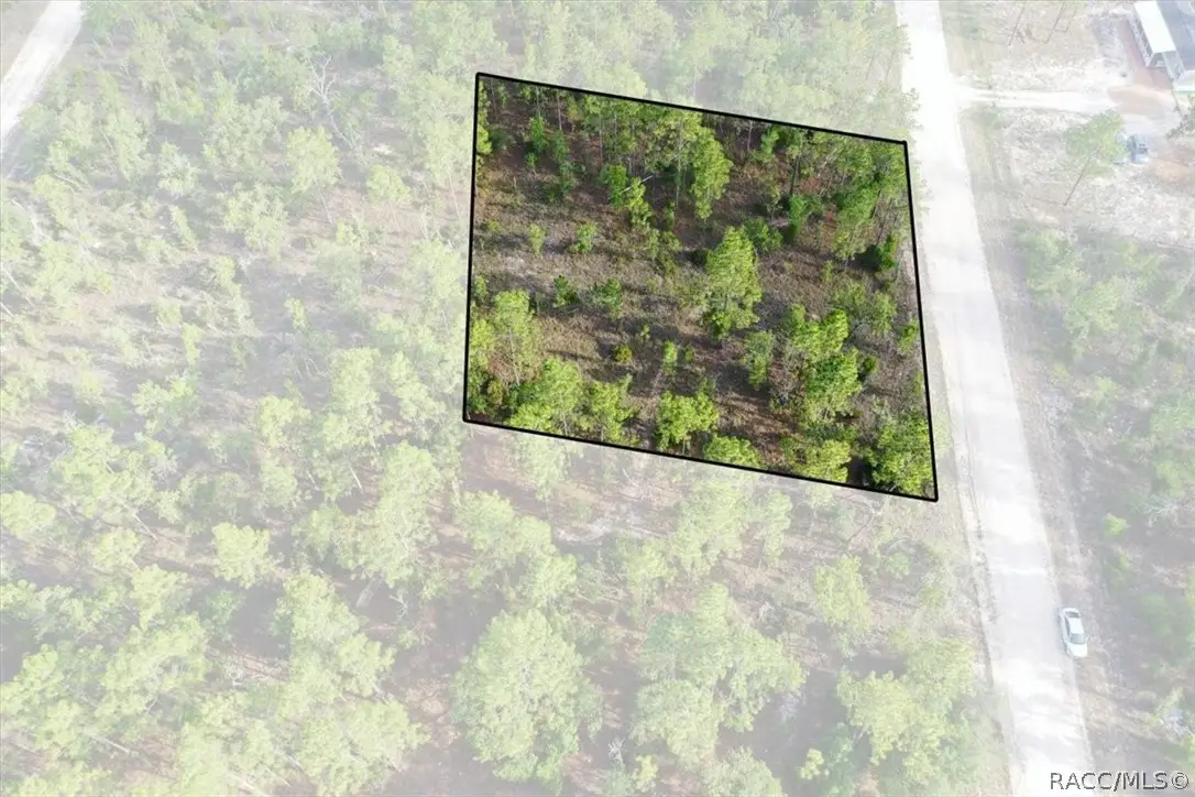 0000 NE 131st Lot 8 Terrace, Williston, FL 32696 - #1