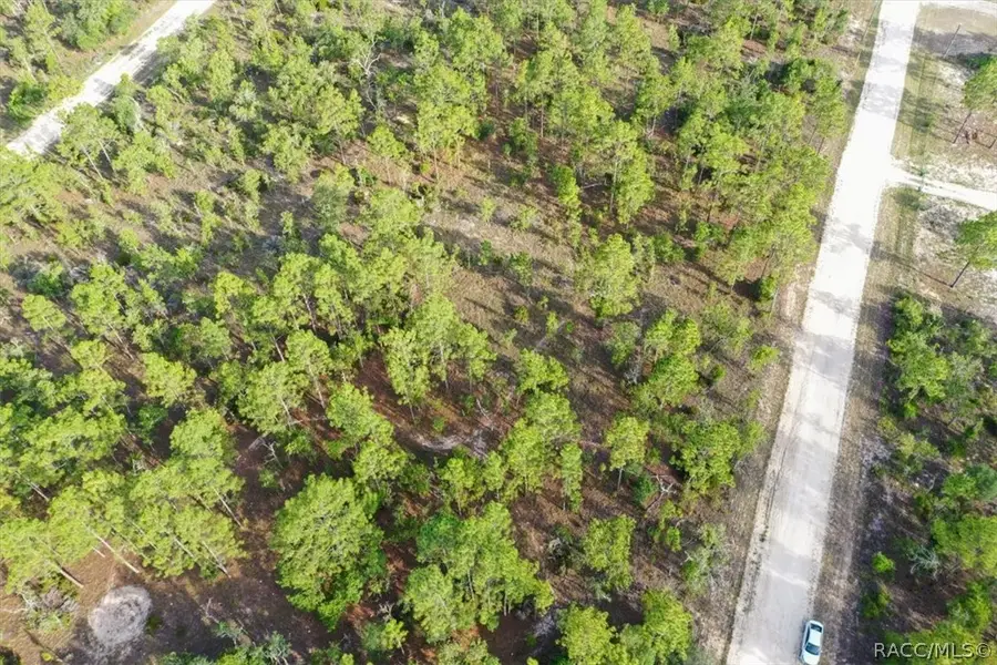 0000 NE 131st Lot 8 Terrace, Williston, FL 32696 - #2