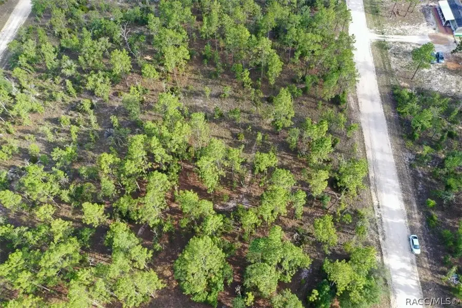0000 NE 131st Lot 8 Terrace, Williston, FL 32696 - #3