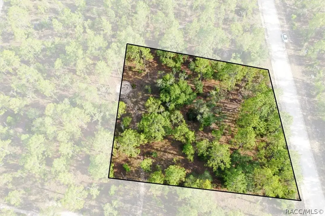 0000 NE 131st Lot 9 Terrace, Williston, FL 32696 - #1