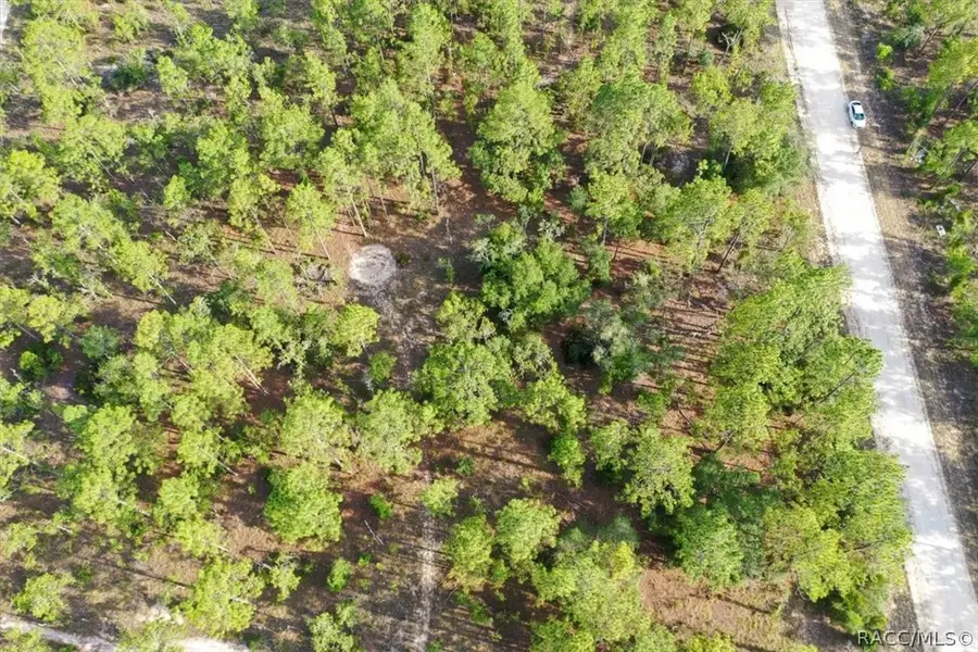 0000 NE 131st Lot 9 Terrace, Williston, FL 32696 - #2