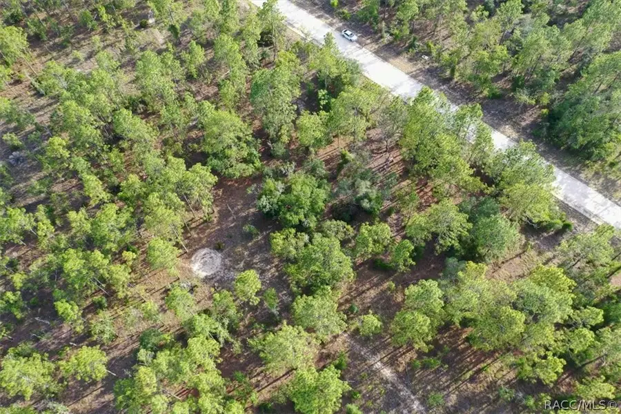 0000 NE 131st Lot 9 Terrace, Williston, FL 32696 - #3