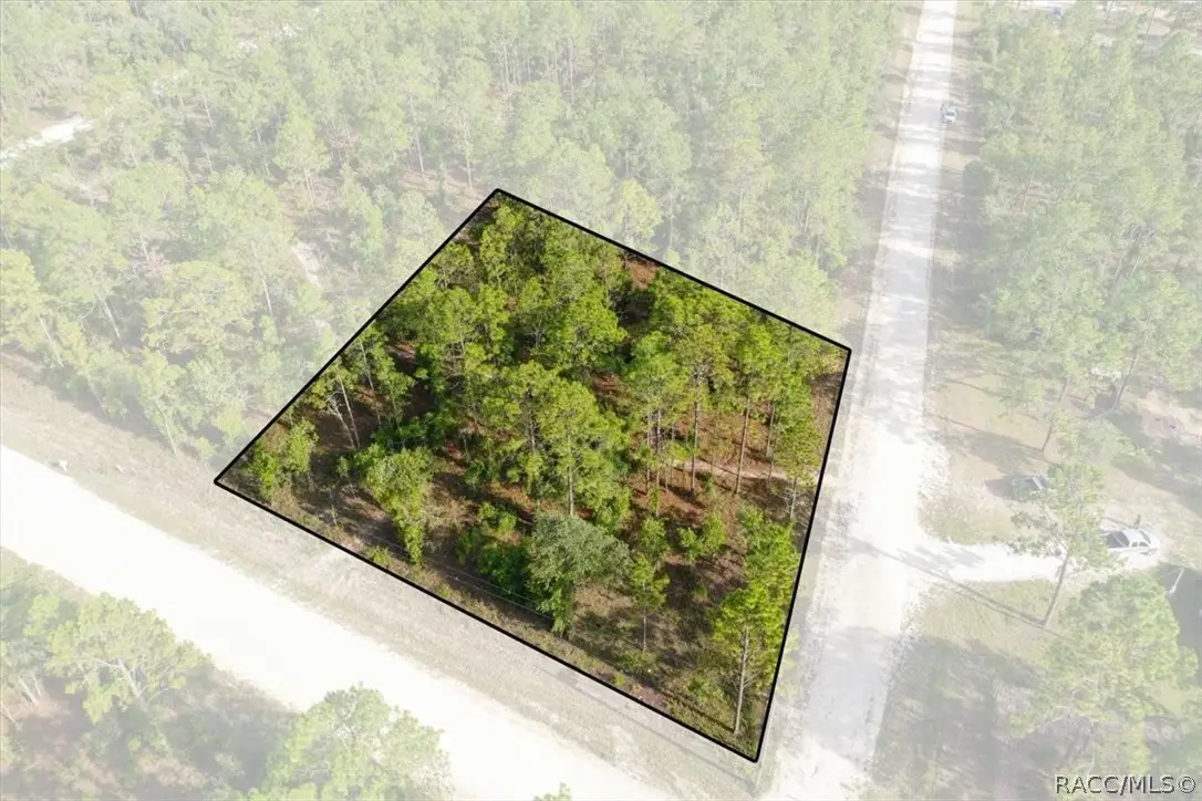 0000 NE 131st Lot 10 Terrace, Williston, FL 32696 - #1