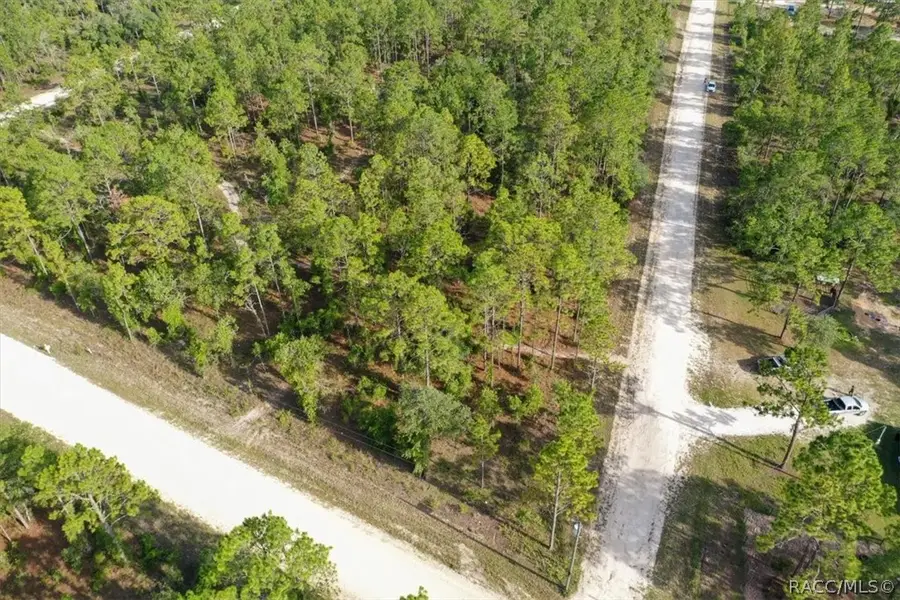 0000 NE 131st Lot 10 Terrace, Williston, FL 32696 - #2