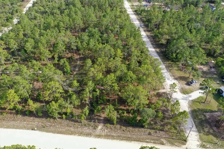 0000 NE 131st Lot 10 Terrace, Williston, FL 32696 - #3