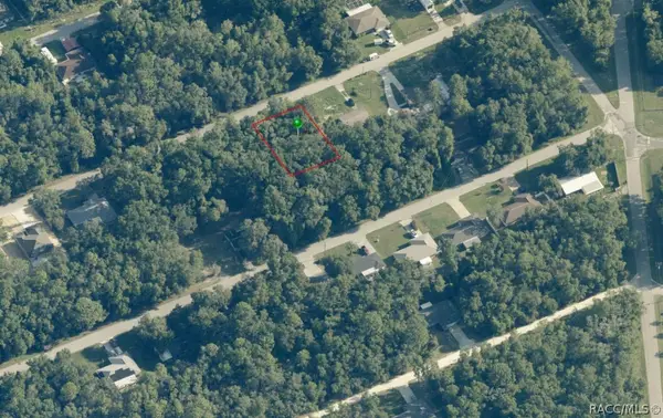 3732 E Johnson Place, Inverness, FL 34453