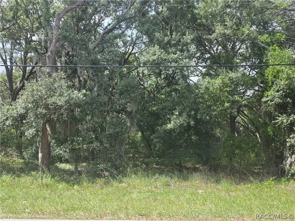 135 W Pearson Street, Hernando, FL 34442 - #1