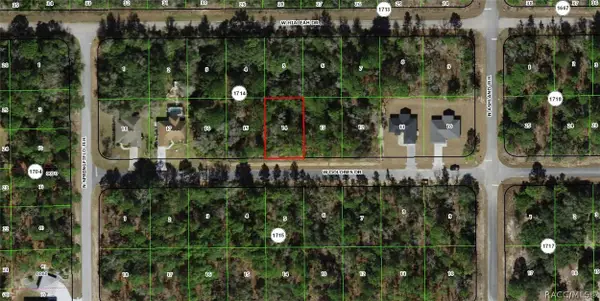 1625 W Dolores Drive, Citrus Springs, FL 34434