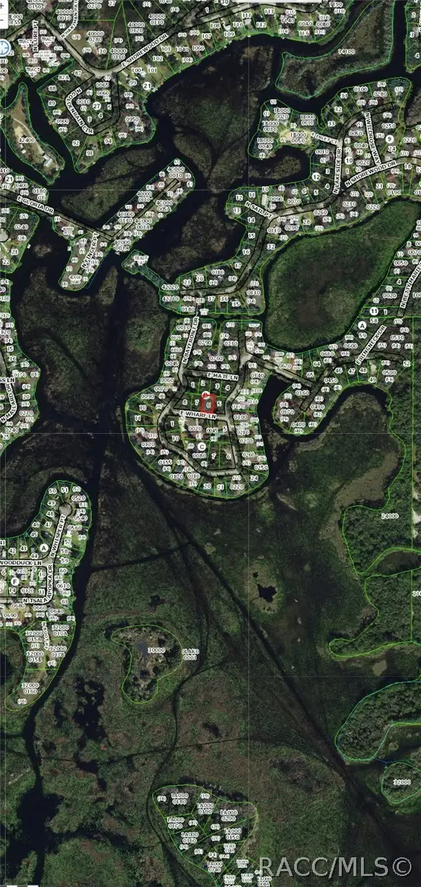 4399 E Wharf Lane, Hernando, FL 34442 - #2