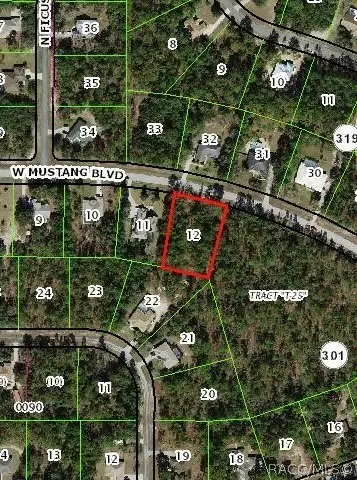 3014 W Mustang Boulevard, Beverly Hills, FL 34465
