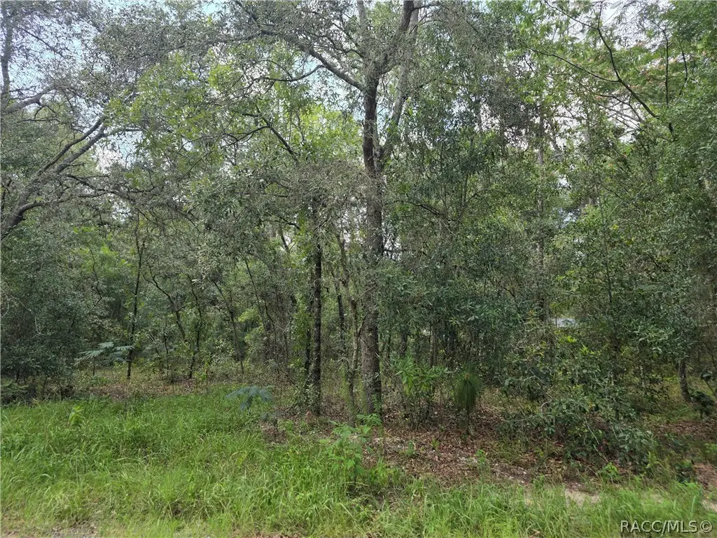 3211 E Millside Lane, Inverness, FL 34453 - #1