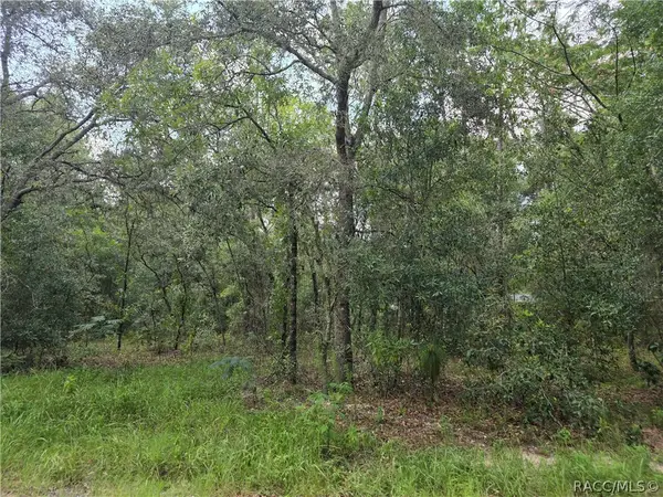 3211 E Millside Lane, Inverness, FL 34453