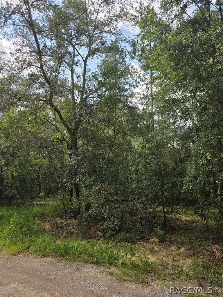 3211 E Millside Lane, Inverness, FL 34453 - #3