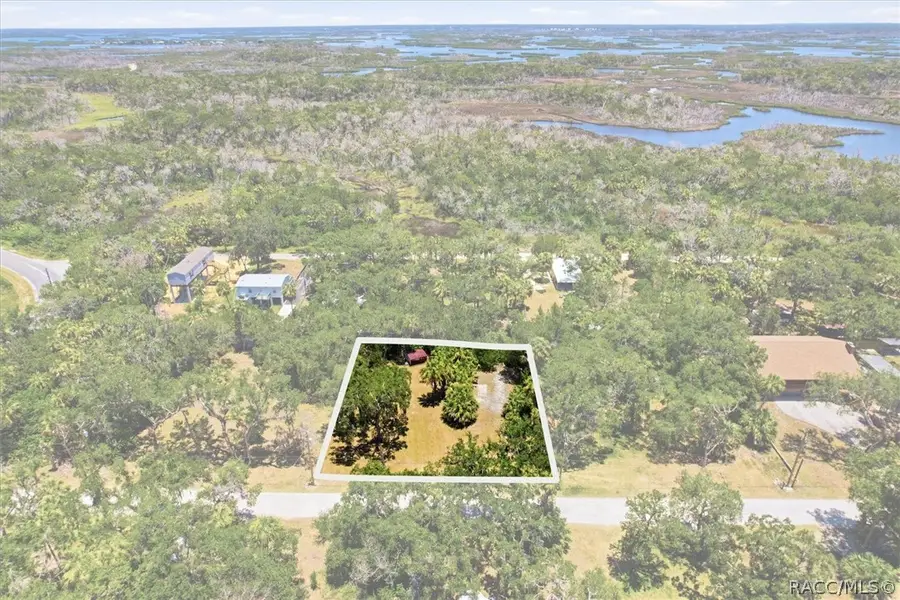 14365 W Shorecliff Court, Crystal River, FL 34429 - #2