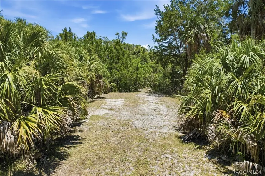 14365 W Shorecliff Court, Crystal River, FL 34429 - #3