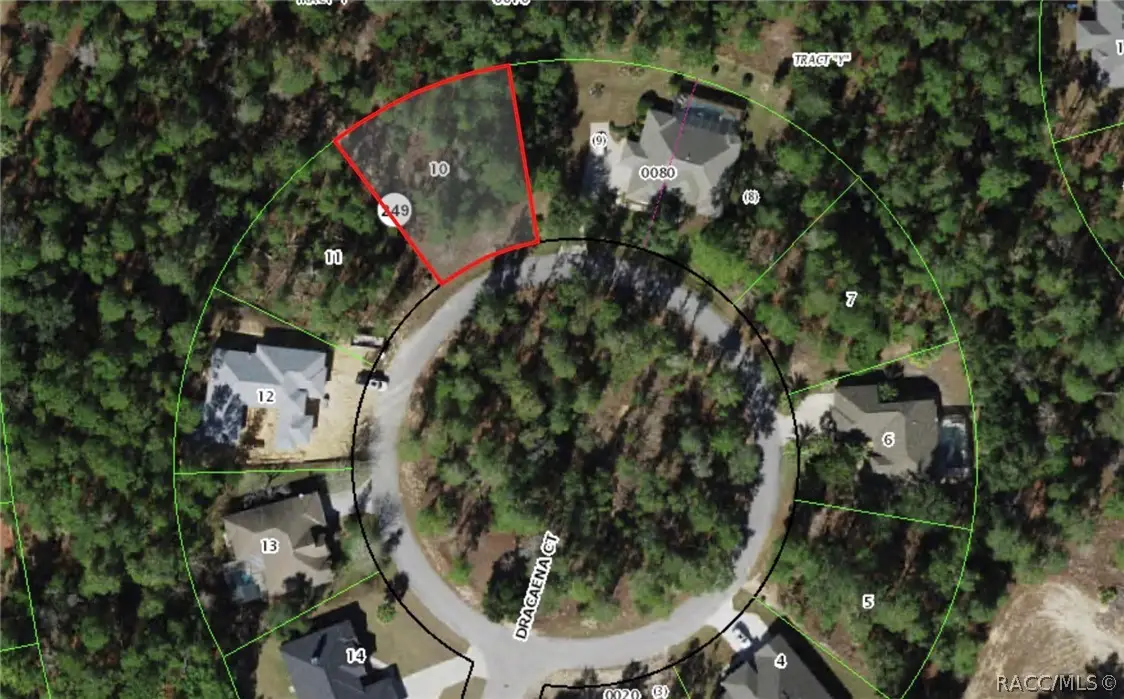 13 Dracaena Court, Homosassa, FL 34446 - #1