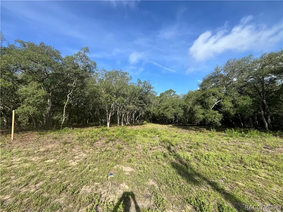 6990 N Lime Drive, Citrus Springs, FL 34433 - #3