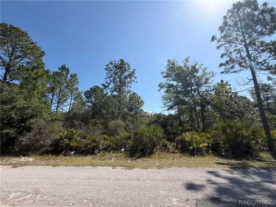 11887 W Flaxen Drive, Crystal River, FL 34428 - #2