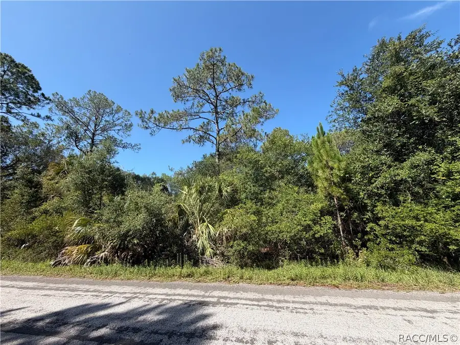 9614 N Dawnflower Avenue, Crystal River, FL 34428 - #3