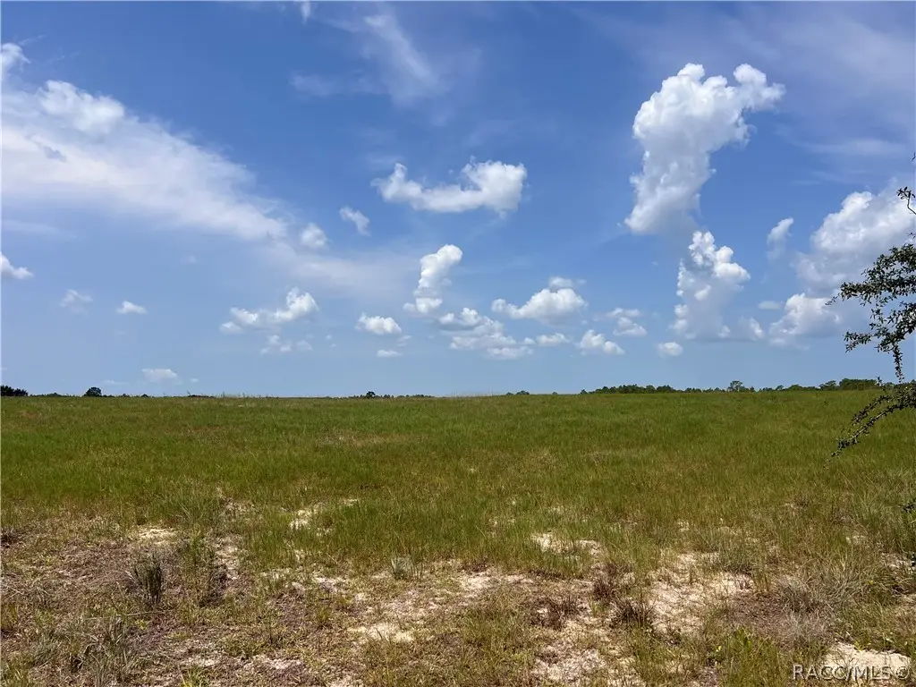 5990 W Oakhill Street, Dunnellon, FL 34433 - #1