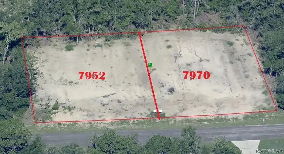 7970 N Ibsen Drive, Citrus Springs, FL 34433 - #1