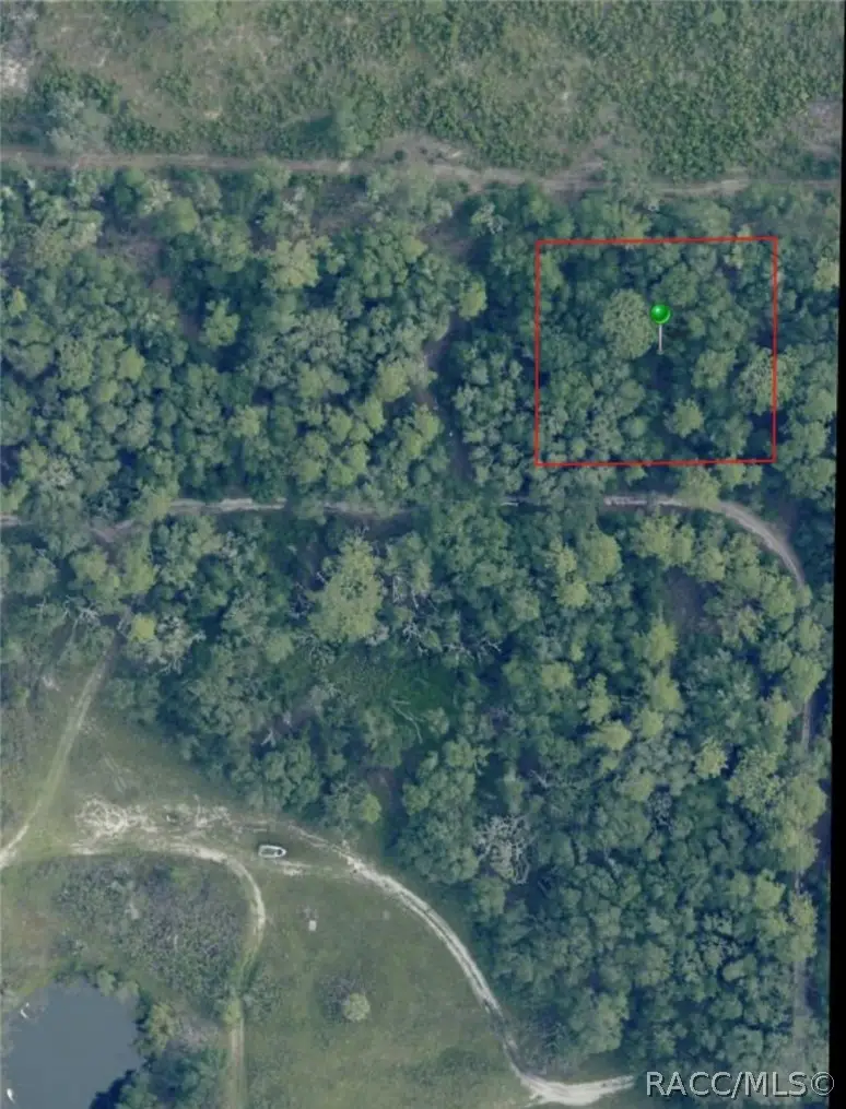 7065 W Rainbow Street, Dunnellon, FL 34433 - #2