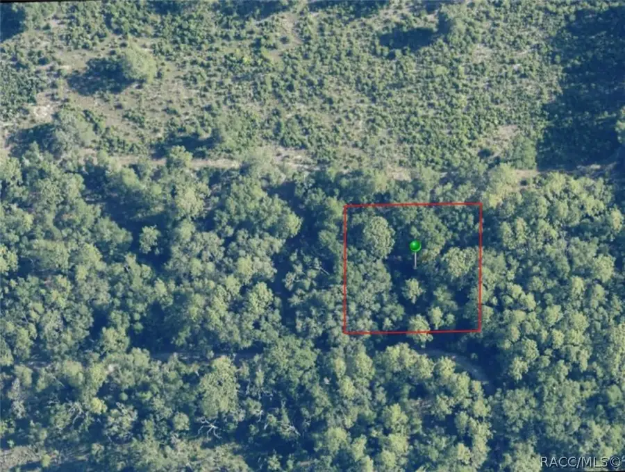 7065 W Rainbow Street, Dunnellon, FL 34433 - #3