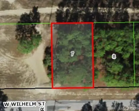 3131 W Wilhelm Street, Citrus Springs, FL 34433 - #1