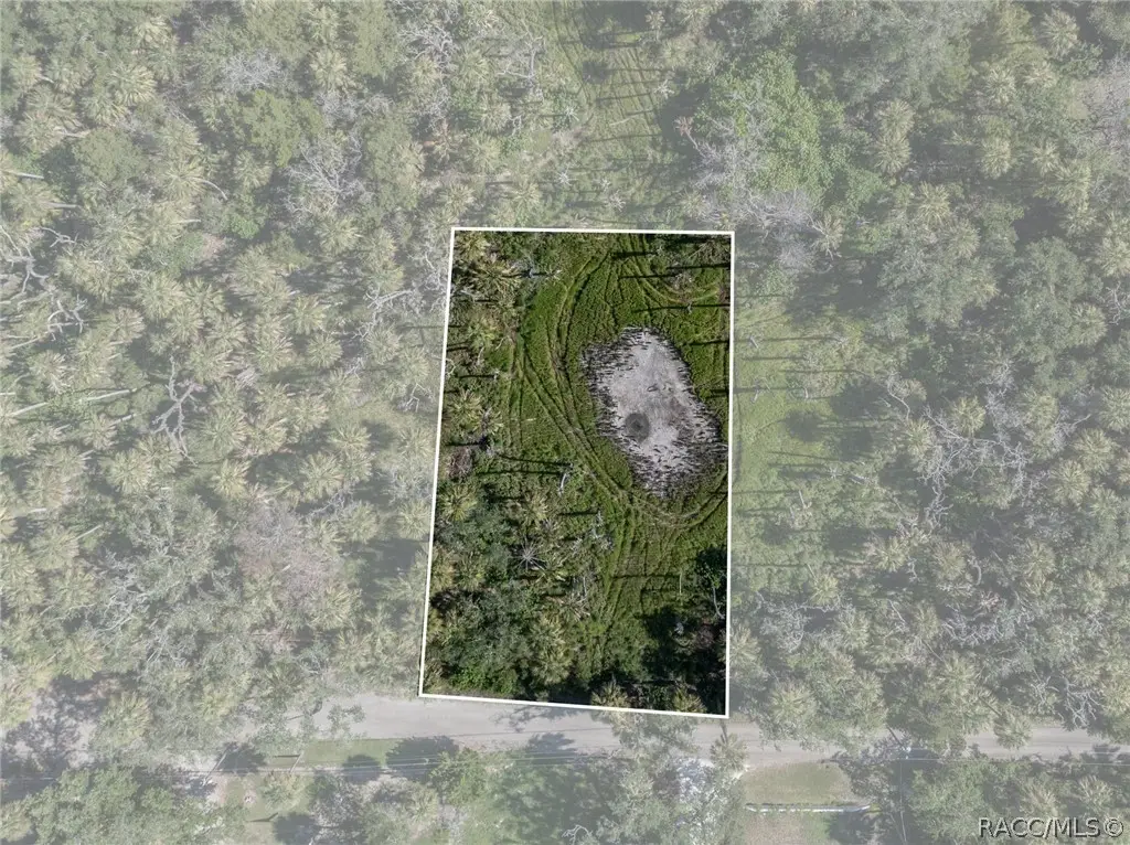 12207 W Gulf Breeze Court, Crystal River, FL 34429 - #1