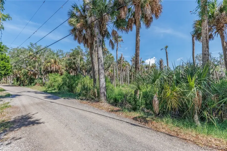 12207 W Gulf Breeze Court, Crystal River, FL 34429 - #2